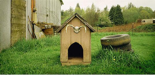 续集公布之后 初代《龙之信条》Steam玩家数激增